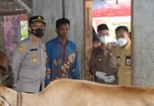 Ikut Tinjau Vaksinasi Sapi di Tamanan, Kapolres Wimboko Ingatkan Masyarakat Tak Percaya Hoax