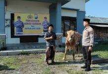 Kapolres Bondowoso Serahkan Hewan Korban ke Pondok Pesantren