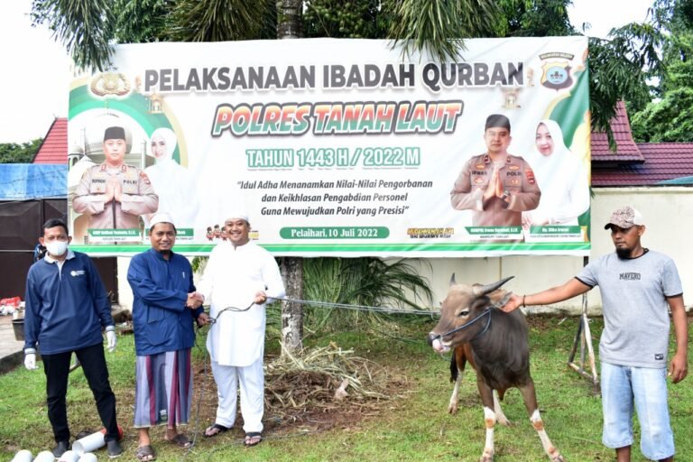 Polres Tanah Laut Jajaran Berkurban 15 Ekor Sapi Untuk Dibagikan Ke Warga