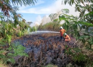 Lahan Kosong Terbakar Polsek Gunung Anyar Dan PMK Lakukan Pemadaman