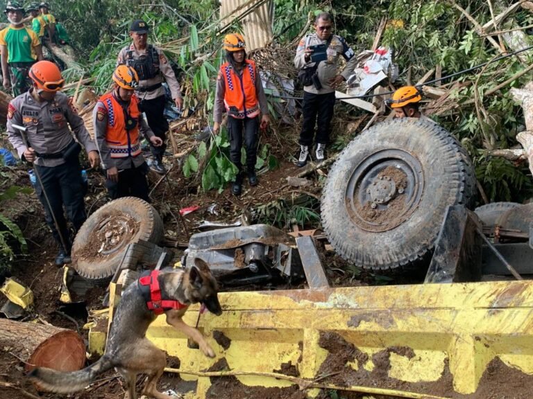 Satu anjing pelacak temukan titik diduga korban tertimbun longsor Cianjur