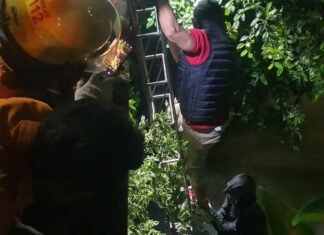 Maling Motor Di Surabaya Nekat Nyemplung Ke Sungai Untuk Hindari Kejaran Polisi