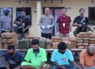 Sat Narkoba Polres Aceh Timur Ungkap Ratusan Kilogram Ganja dan 4 Orang Pelaku