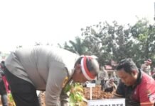 Polres Tanah Laut Laksanakan Penanaman Pohon Secara Serentak Di Desa Bajuin