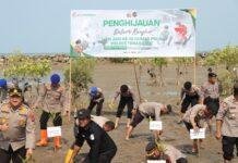 Hari Ulang Tahun Ke-72 Humas Polri Tahun 2023 Polres Tanah Laut Tanam MangroveÂ