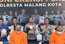11 Kg Ganja Diamankan Polresta Malang Kota, Siap Diedarkan di Malam Tahun Baru