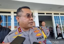 Kapolda Papua Barat janji tertibkan tambang emas ilegal