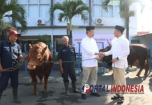 Idul Adha 2024, Polresta Malang Kota Sembelih 15 Sapi Dan 24 Kambing