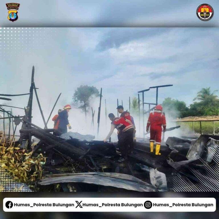 Kebakaran Rumah di Tanjung Selor, Ini Perjuangan Tim Damkar dan Polresta Bulungan!
