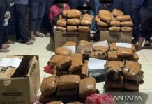Komitmen Jaga Jakarta Polda Metro Jaya Gagalkan Peredaran 83 Kg Ganja di Bekasi