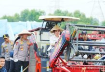 Kapolri-Ketua Komisi IV Pimpin Panen Raya Jagung Serentak, Wujud Nyata Dukung Ketahanan Pangan Nasional